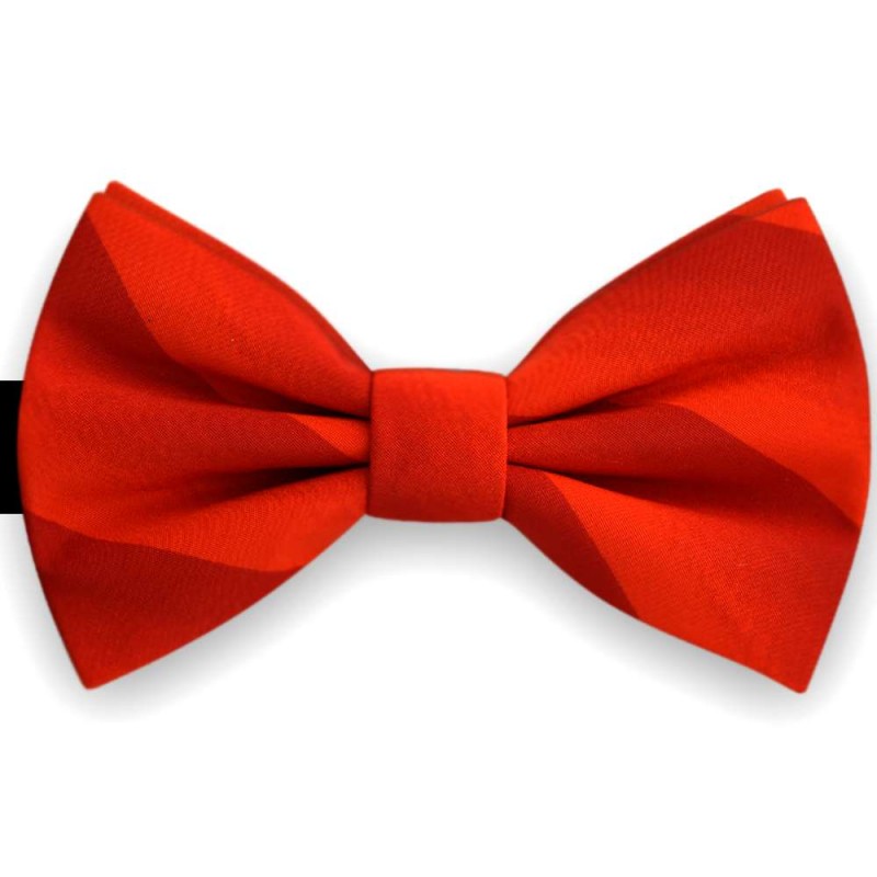 Jeg tror, ​​jeg er syg lektie ækvator Bow Tie for Men, red, butterfly, silk satin, with model, ...
